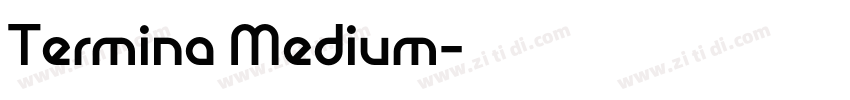 Termina Medium字体转换